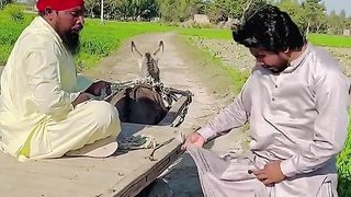 Funny video