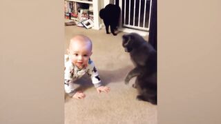 Baby and Cat Fun Compilation| Baby And Cats Are Best Friends|Cute baby and cats| Funny Baby Videos | Babies Love