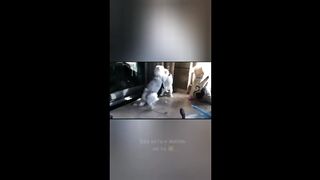 jokes tik tok video	 dad jokes tiktok aht aht