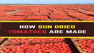 How to Make Sun Dried Tomatoes -How to dry tomatoes at home -Homemade Sun-Dried Tomatoes