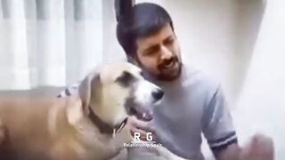 funny video latest video
