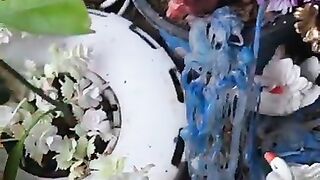 Cute fairy garden