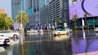 Dubai Beauty View 2023