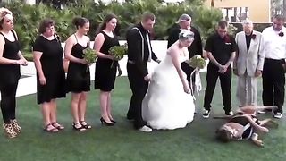 Funny moments of the year compilation,dogs part 7.