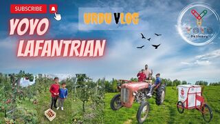 YOYO Lafantrian S2 I E2, Kitchen Gardening