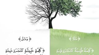 Islamic quotes