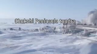 The coldest village of the world where animals also freeze