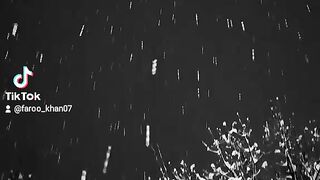 Snow Falling