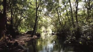 Forest stream in the sunlight Drone footage moving backwards over a river in a forest