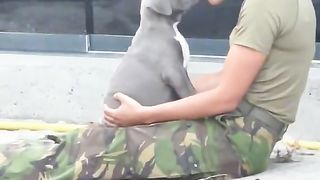 Funny moments of the year compilation,dogs part 9