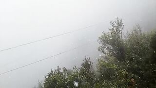 Snowfall