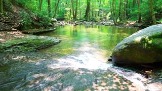 Beauty Of Nature 4K HD |You Will Love This Video