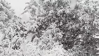 Snow falling
