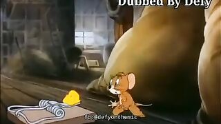 Funny videos comedy video