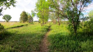 Forest walking View|Capture By Nickon 643|