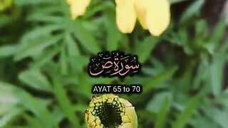 Surah ul s ayat 65 to 70