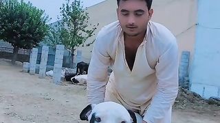 Funny dog love with owner video