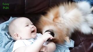 Puppies and babies cute video