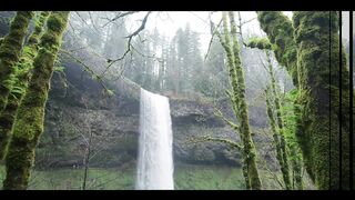 Natural video, Nature is great! My creation beautiful video| best video