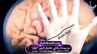 Brain line