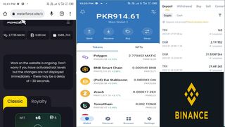 meta force joining process trust wallet and binance wallet