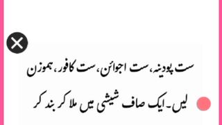 Haizy ka kamyab nusha