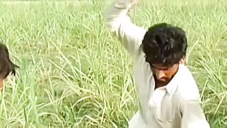 funney  mazahiya viral video