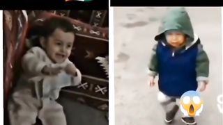 Funny clips