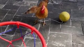 funny fotball playing @shorts