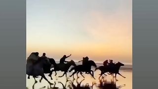 Friends. Horses