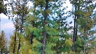Nature beauty and Brain relaxing scenario