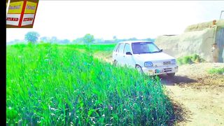 Village life Balochi culture