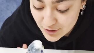 very beautiful little cute parrot