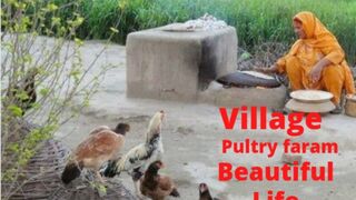 Pultry faram