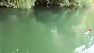 fantastic fishing