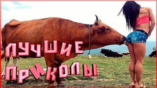 Лучшие приколы до слез, приколы 2022. Смешные видео - Лучшие приколы!!!! Смех до слез!!!!