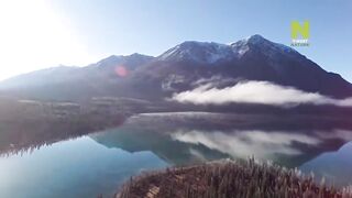 МЕДВЕДИ Документальный фильм. Дикая природа.Bear
