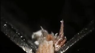 ЭТО ЛУЧШИЕ ВИДЕО ИЗ ТИК ТОКА - #shorts