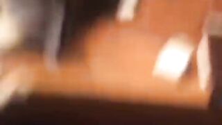 Funny Cat - Best Of The 2021 Funny Cat Videos - TRY NOT TO LAUGH! 2