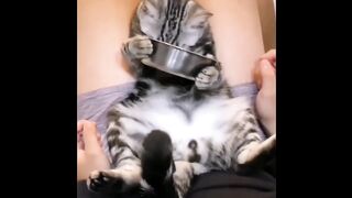 Cat - So delicious #007