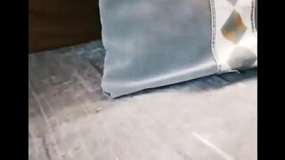 Cat - when the mackerel runs out #0017