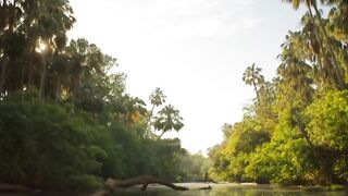 bat captured by crocodile,See the Scene!