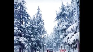 Malam Jaba Swat Snowfall in winter