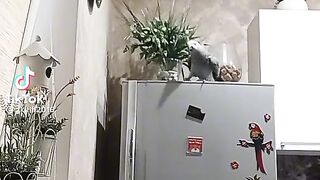 And I'm dancing, and I'm dancing.