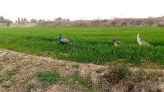 Beautiful nature ????