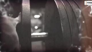 I'm the King of classic!! Chum CHRIS Bumpstead - Mr. Olympic gym motivation
