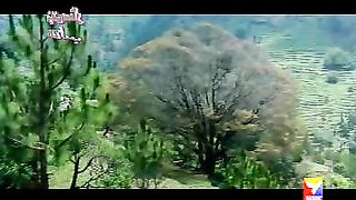MEIN CHAHTA HOON TUJHE|Film: Pyar Zindagi Hai