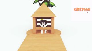 Cartoon 1 | animal Magic| Old Macdonald| Animation cartoon