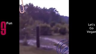 TRY NOT TO LAUGH ???? Best Funny Videos Compilation ???????????? PART 20