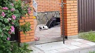 Miki, shall we go for a walk?